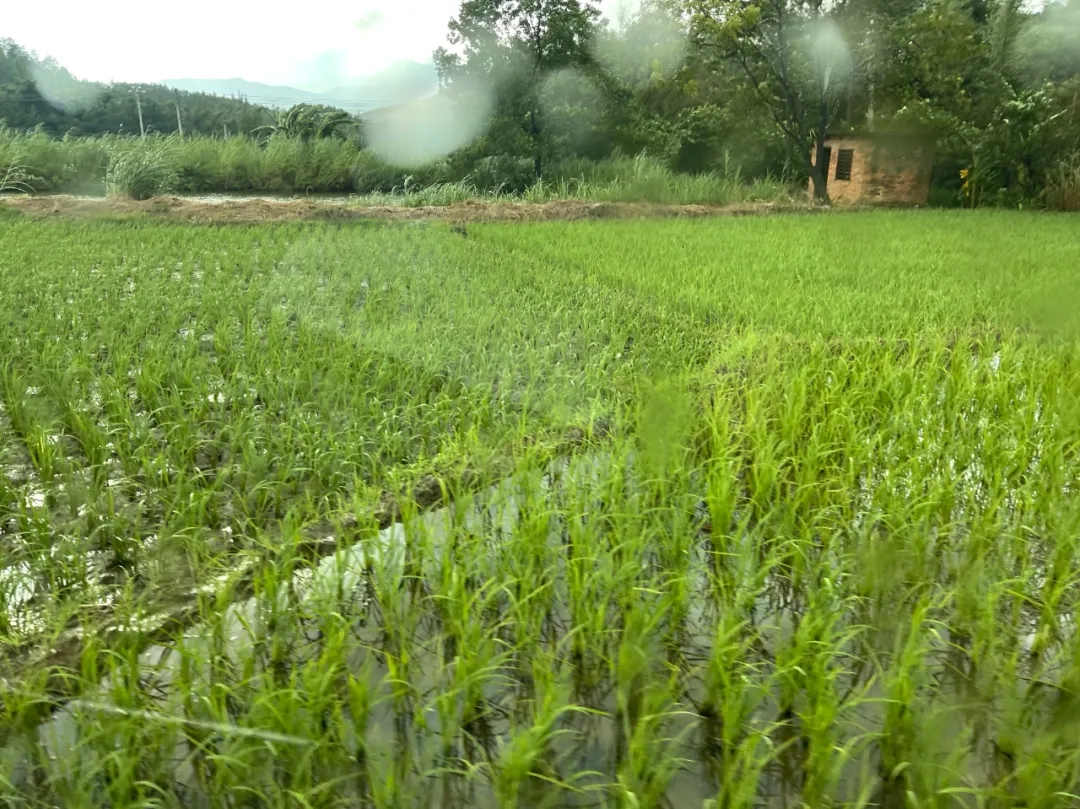 1714034893860936.jpg 2.webp.jpg