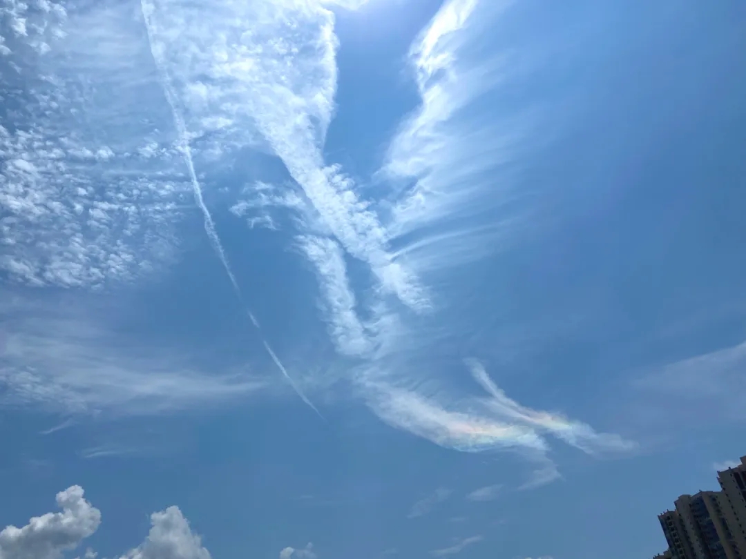 1714035102280395.jpg 19.webp.jpg