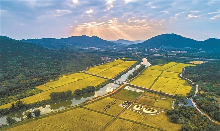 1715068787247863.jpg 2.webp.jpg