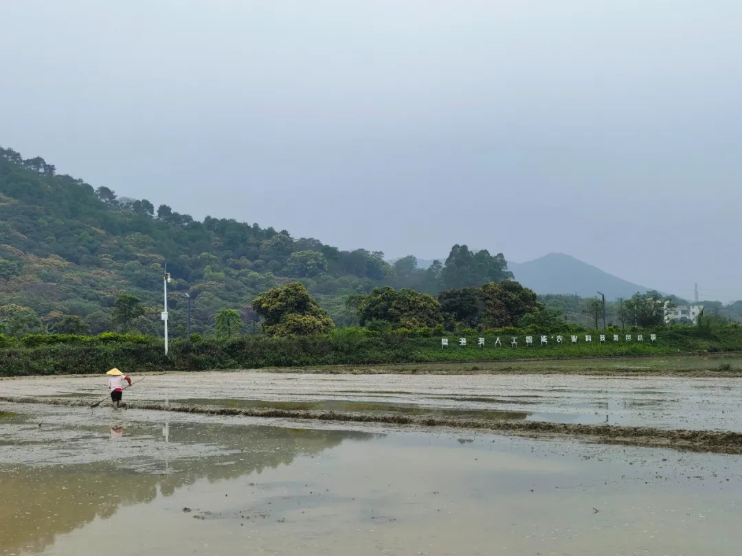 1715068821176086.jpg 5.webp.jpg