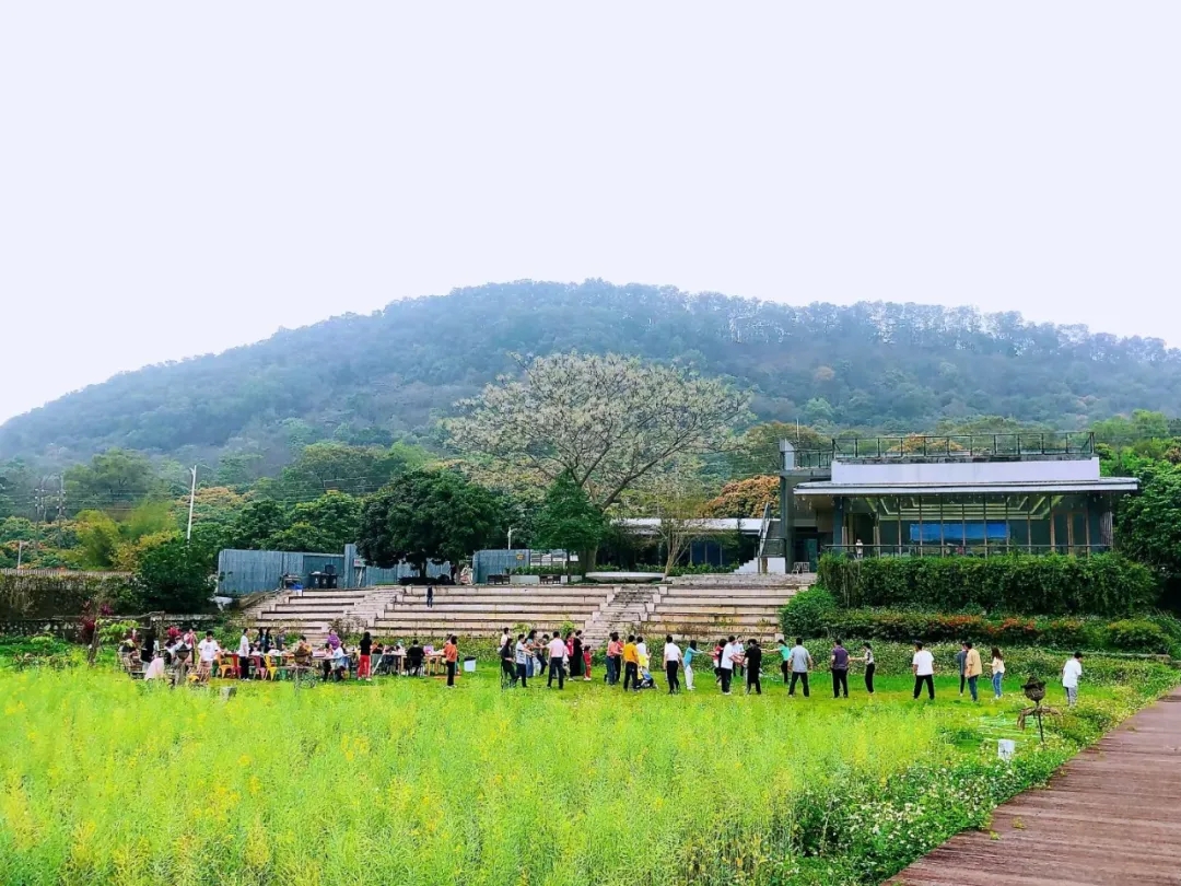 1715068842995066.jpg 7.webp.jpg